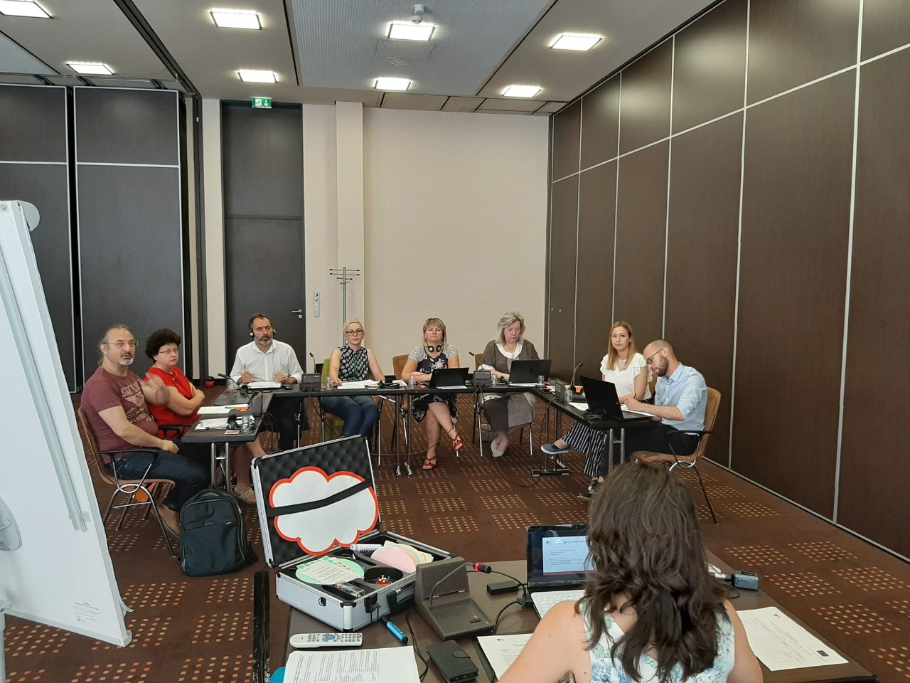 Експертска сесија во рамките на проектот Модели на инклузивен менаџмент – Between red and teal